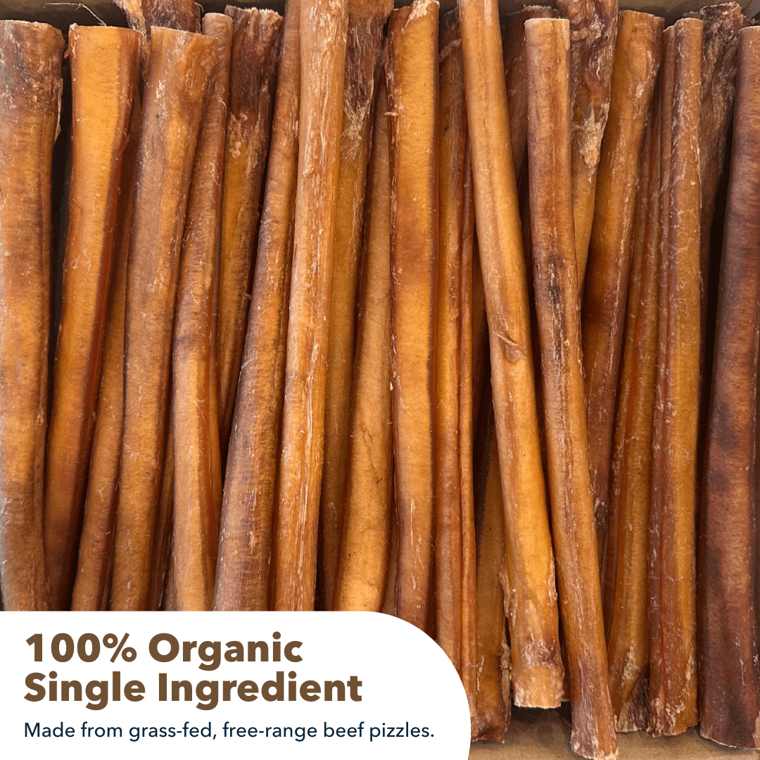 12" Jumbo Bully Sticks Display Box (30 ct) with Individual UPC Tags - 100% All Natural Beef
