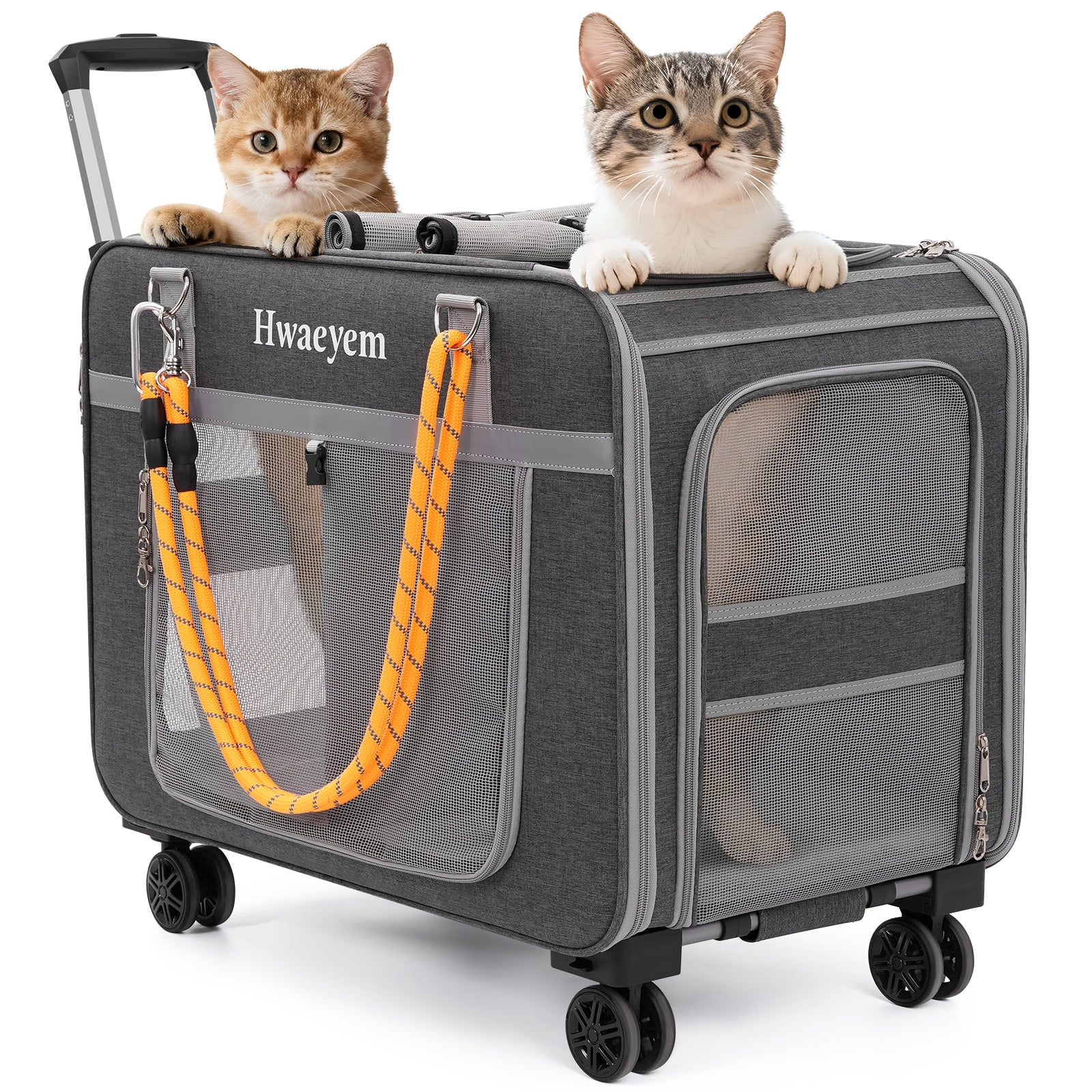 Petmate Sky Kennel for Dogs, IATA Approved, Plastic Travel Carrier