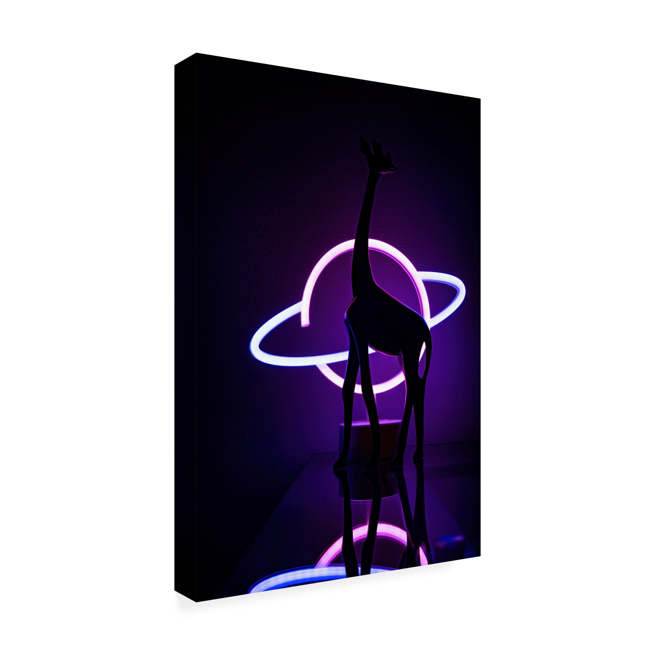 Trademark Fine Art Davide Boaretto Lady Miami Canvas Wall Art