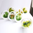 thumbnail image 2 of Simulación de flores artificiales de plástico, pino, ciprés, agujas de pino, decoración de escritorio, planta de simulación en maceta, pequeño bonsái, 2 of 6