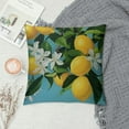 thumbnail image 2 of PRATYUS   Lemon Throw Pillow Covers  Summer Fruit Farmhouse Decorative Pillows Case Soft Cushion Covers for Couch Sofa Patio Garden Home Decor White, 2 of 5