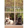 thumbnail image 2 of Karyn Millet 28x40 Gallery Wrapped Canvas Wall Art Titled - A Dogs Life II, 2 of 4