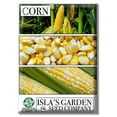 "Heirloom NonGMO, Zea Mays Sweet Bicolor ""Peaches and Cream"" Corn