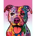 thumbnail image 3 of Dean Russo Collection 15x18 Black Modern Framed Museum Art Print Titled - Cherish The Pitbull, 3 of 5