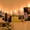LLNew--White, variant on 100Fens LED Photo Clips String Light, String Light Clips For Hang Pictures Card Bedroom Wall Decorations Christmas Patio Halloween Thanksgiving Wedding Party Décor Halloween Ambience Decoration