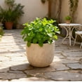 thumbnail image 4 of Olurrisa Large Outdoor Indoor Planter, 15.9"+12"+10" Dia Round Magnesium Oxide Planter Set of 3, Flower Pots with Drainage Holes, Modern Design Planter for Home Garden Patio, 4 of 7