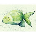 thumbnail image 3 of Popp, Grace 18x15 Black Modern Framed Museum Art Print Titled - Speckled Freshwater Fish I, 3 of 5
