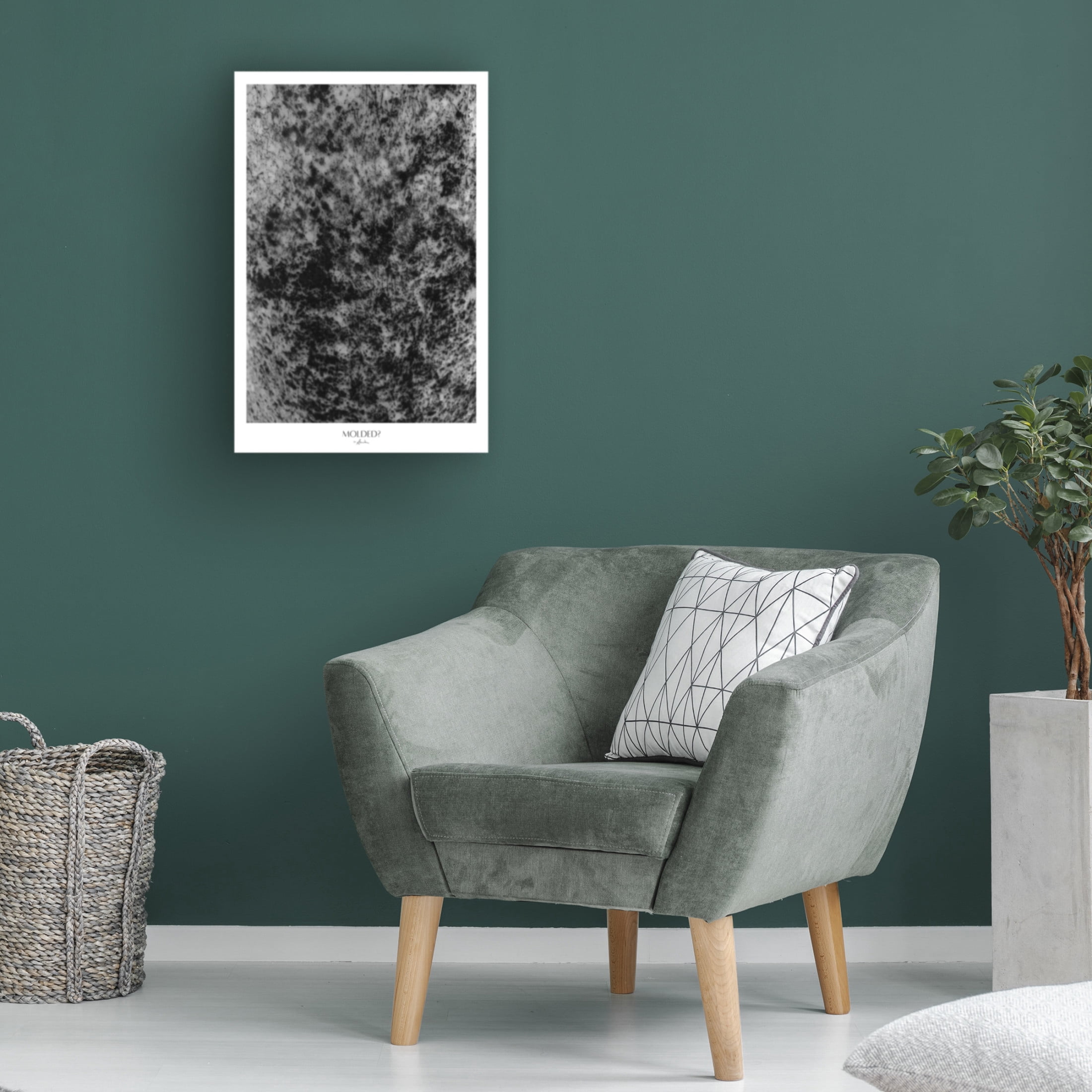 Trademark Fine Art Annika John Molded Canvas Wall Art