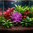 thumbnail image 5 of Artificial Corals for Aquarium Decoration, Lifelike Plastic Reef Ornaments for Freshwater and Saltwater Aquascaping, Small Fish Shrimp Turtle Hideout Cave for Setup, 4.72" x 5.91", KTFgvq, 5 of 6
