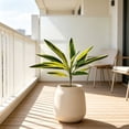 thumbnail image 2 of Artificial Cordyline Plant Stems, Fake Ti Leaf Tropical Greenery, Faux Dracaena Plant Picks, Artificial Cordyline Fruticosa Leaves for Indoor Outdoor Home Garden Decor, 2 of 4