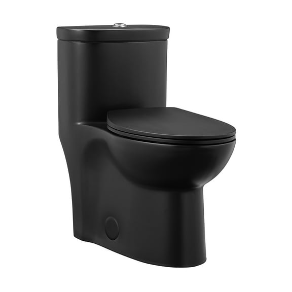 Besançon One-Piece Elongated Toilet Dual-Flush in Matte Black 1.1/1.6 gpf