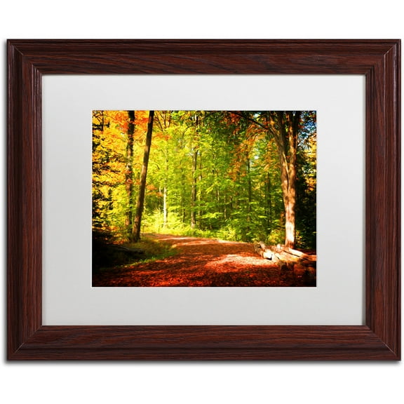 Trademark Fine Art "Breaking The Fall Silence" Canvas Art by Philippe Sainte-Laudy White Matte, Wood Frame