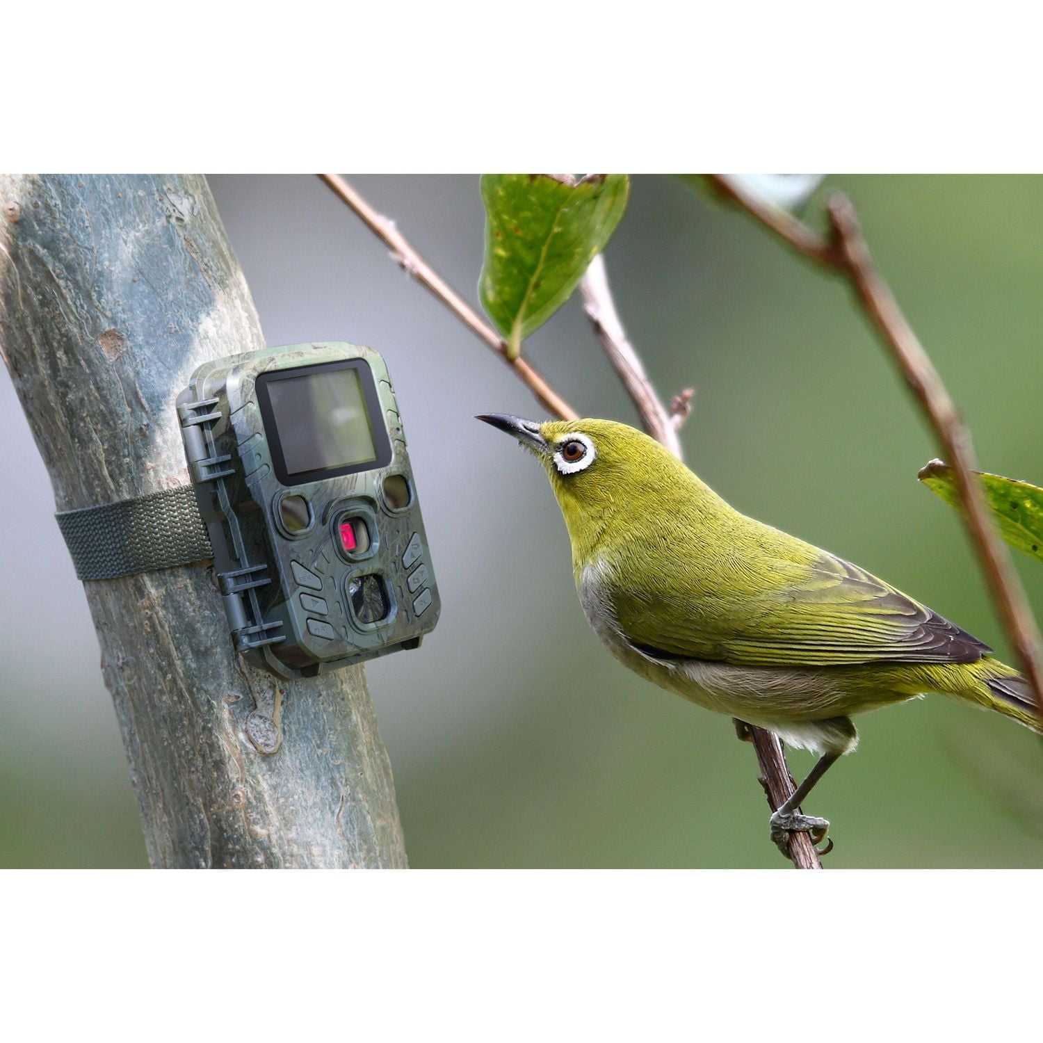 Mini Nature Wild Cam Technaxx TX-117 FullHD 1080p - Camoflauge