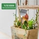 thumbnail image 2 of 10 Etiquetas de Acero Inoxidable Tipo T para Plantas, Arbustos, Árboles, Semillas, Etiquetas Grabables para Viveros y Macetas para Jardinería., 2 of 5