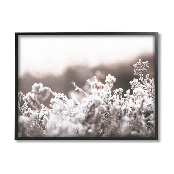 Stupell Industries Dainty Winter Blossoms Botanical Blooms Photograph Black Framed Art Print Wall Art, Design by Leah Straatsma