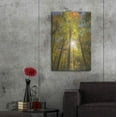 thumbnail image 7 of Luxe Metal Art 'Autumn Foliage Sunburst III' by Alan Majchrowicz,Metal Wall Art, 24"x36", 7 of 7