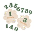 thumbnail image 2 of BELOVING Baby Monthly Milestone Cards Sign Gift Keepsake Memories Unique Double Sided Green, 2 of 9