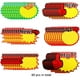thumbnail image 2 of Linterna LED 10000 lúmenes, 5000 mAh USB recargable 26650 batería incluida, 31 modos de luz, zoom, largo tiempo de trabajo linterna táctica de mano para camping, senderismo, caza, emergencia, 2 of 6
