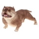 thumbnail image 2 of de Acción de Modelo de Animal Diversión de Juguete Pet Dog Statue Decoración para hogar Hugo Juguete de figura animal, 2 of 10