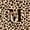 Black Brown M, variant on Castle Fairy Leopard Bow Letter C Twin Bedding for Girls,Cheetah Print Duvet Cover Set,2pcs,No Comforter,Black Reversible