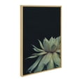 thumbnail image 2 of Kate and Laurel Sylvie Succulent 8, Succulent 1, and Succulent 5 Framed Canvas Wall Art Set by Emiko and Mark Franzen of F2Images, 3 Piece Set Natural, Modern Dramatic Botanical Wall Décor, 2 of 6