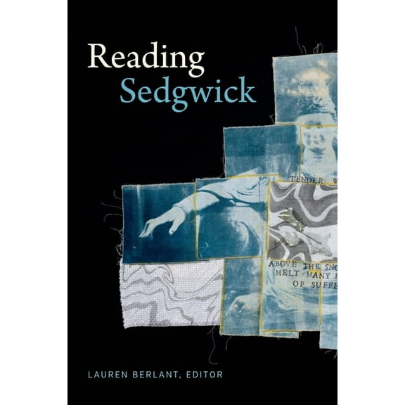 Theory Q Reading Sedgwick, (Hardcover)