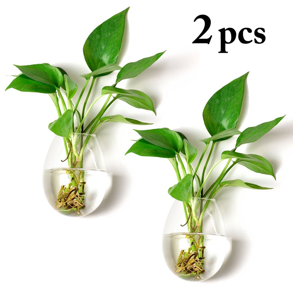 Bangcool 2PCS Glass Planter Decorative Wall Hanging Planter Glass