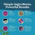 thumbnail image 5 of Natures Craft Neuro Health Nootropic Brain Supplement for Memory and Focus Enhancement, 90 Capsules, 5 of 10