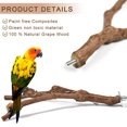 thumbnail image 4 of Redempat 7pieces Safe And Stable Bird Standing Stick Natural Wood Perch For Pet Parrots Vibrant Color Fun, 4 of 6