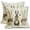 Brown Bunny, variant on Spring Flowers Pillow Covers 16x16 Inch Set of 2 Watercolor Floral Spring Summer Outdoor Decorative Throw Pillow Covers Farmhouse Pillow Cases Cotton Linen Cushion Covers for Couch Bed Sofa Home Decor
