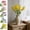 5Pcs Lifelike Hyacinth Bouquets Under $5 a1, variant on Kadlawus Simulated Hyacinth Bouquets for Home Decor, Plastic Silk Flowers, Artificial Floral Arrangements for Table, Vase, Wedding