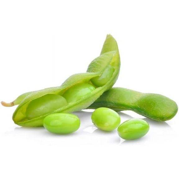 30 BeSweet Edamame Soy Bean Seeds | USA Non-GMO Vegetable by Mai's Family