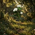 thumbnail image 4 of Solar Lights Outdoor Garden Red 3 Head Rose Solar Path Lights Waterproof Outdoor Yard Decorations, 4 of 7