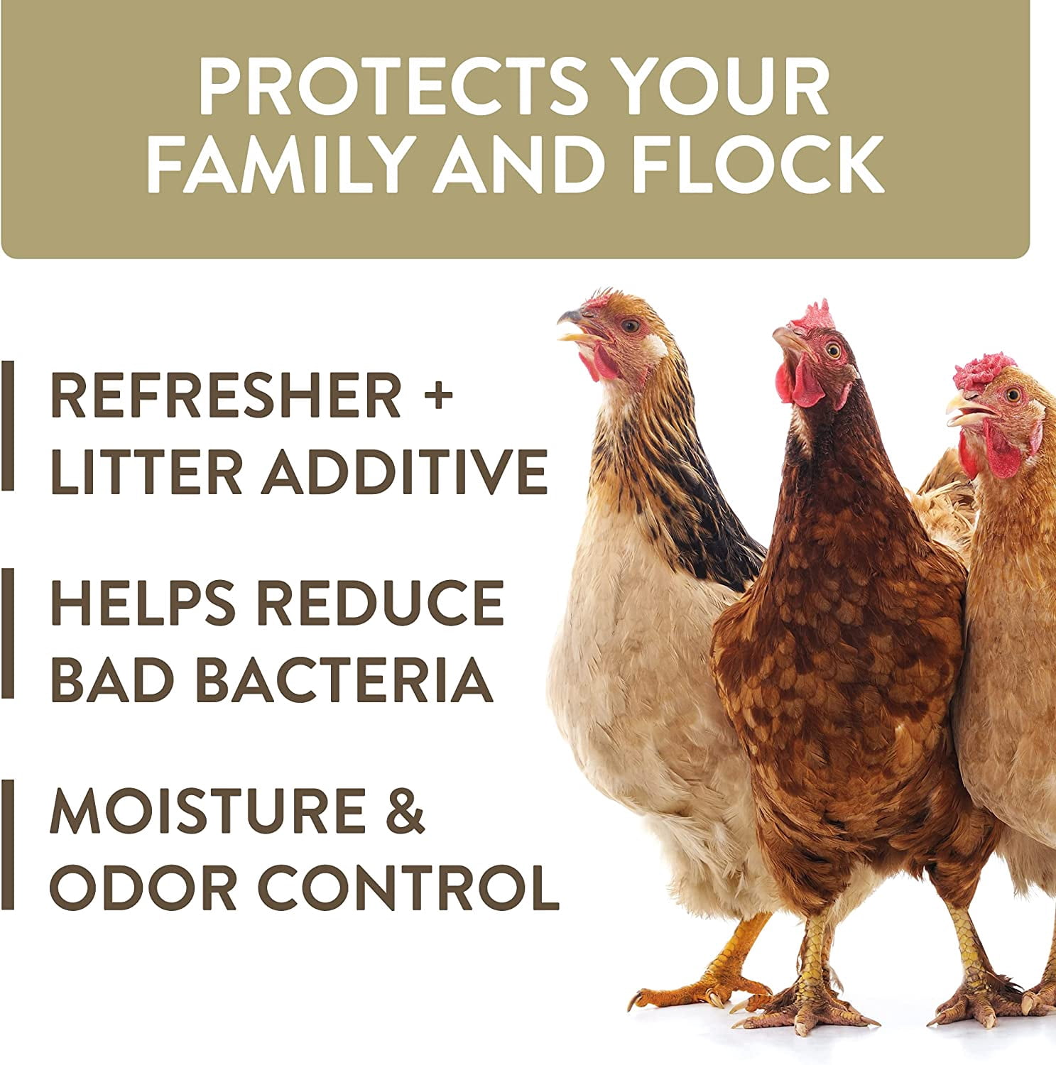 FlockLeader Healthy Coop, Litter Additive for Chicken Coop with Probiotic & Acidifier, Reduces Odor, Wetness & Bacteria, 12lbs FlockLeader HealthyCoop