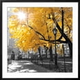 thumbnail image 2 of Art.com Park Pretty II Photographic Print by Assaf Frank, Black Frame Wall Art, 29" x 29", 2 of 4