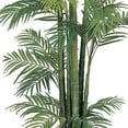 thumbnail image 3 of HomeStock 7Ft. Antique Accents Silk Palm Tree, 3 of 7
