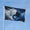 Wolf, variant on Cool White Tiger Garden Flags for Outside 3x5 Ft Large House Flag Housewarming Gift Flag Double Sided Funny Dark Tiger Flags Gifts for Women Men Tiger Lovers Lawn Yard Outdoor Patio Decor