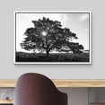 thumbnail image 3 of wall26 Framed Canvas Print Wall Art Sunlight Shines Through Large Mountain Tree Floral Nature Photography Realism Expressive Dark Black and White for Living Room, Bedroom, Office - 24"x36", 3 of 5