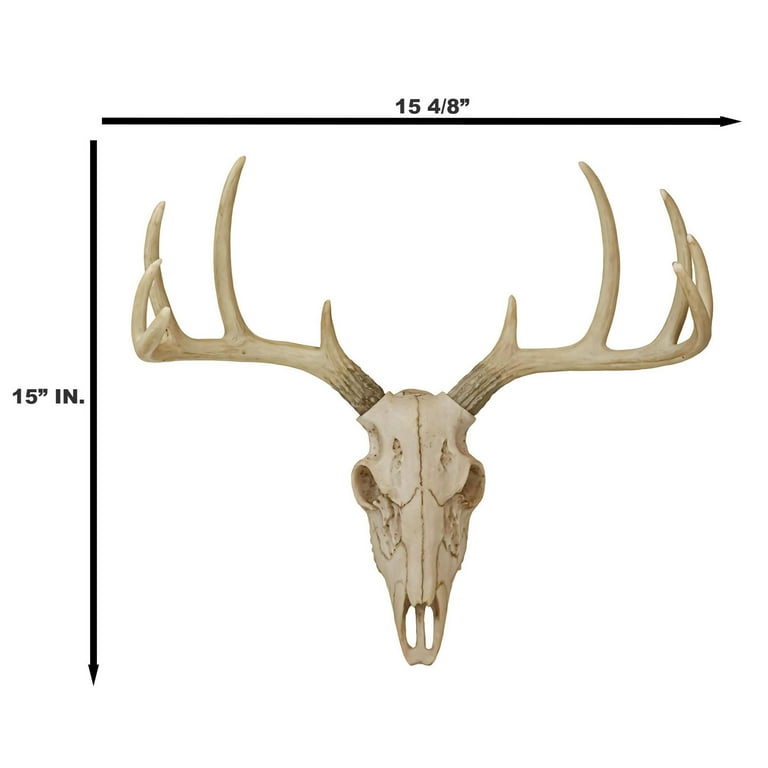 Ebros Gift Rustic Hunter Deer Skull Antler Wall Decor, 15.5 x