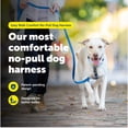 thumbnail image 2 of Arnés para perro PetSafe Easy Walk Comfort antitirones negro XS, 2 of 8