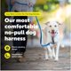 thumbnail image 2 of Arnés para perro PetSafe Easy Walk Comfort antitirones negro XS, 2 of 8