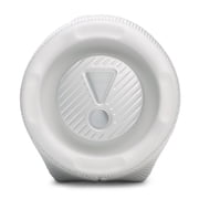 JBL CHARGE 6 Bluetooth Speaker & divvi! Premium Hard Case Bundle - White