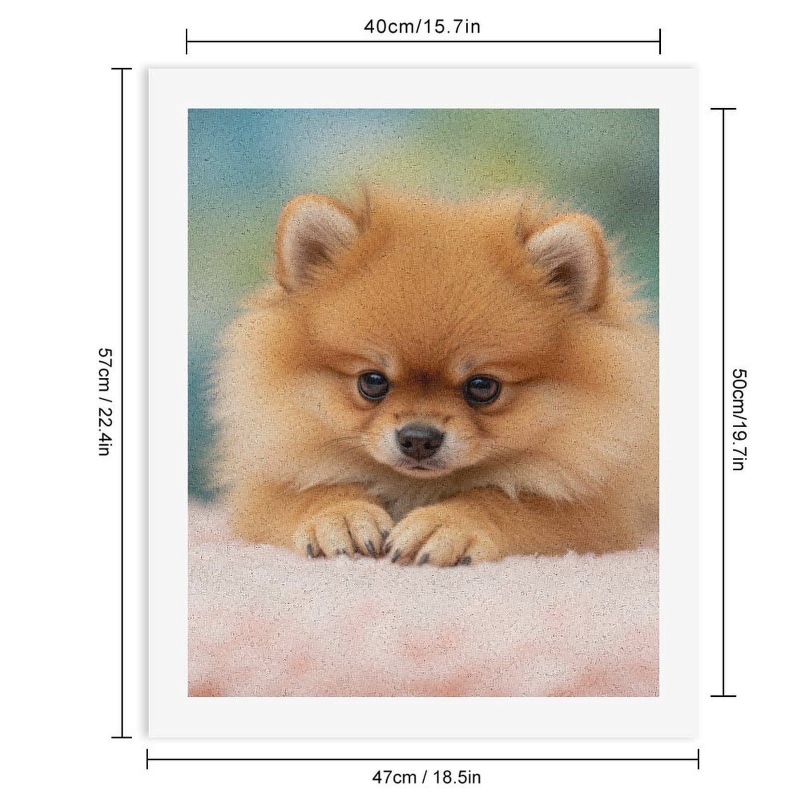 Paint by Numbers Kit for Adults, Pomeranian Puppy Adorable Paint by Numbers, Easy Paint by Numbers Kit for Adults Beginner, DIY Adult Paint by Number Kits on Canvas, Home Decor