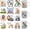Father's Day Dad Animal, variant on UCEI UV DTF Transfer Stickers For Glass Cups 12 Pack Father's Day Dad Quotes Waterproof Self Adhesive Mugs Tumbler 2.4 Inch