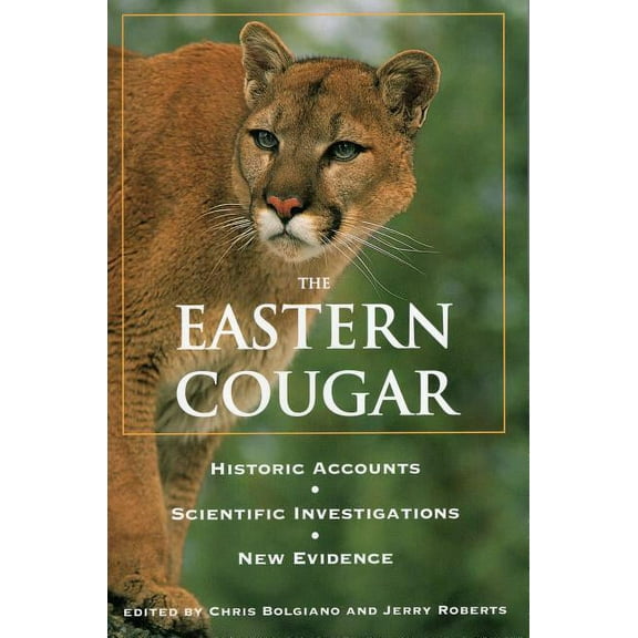 Eastern Cougar : Historic Accounts, Scientific Investigations, New Evidence (Paperback)