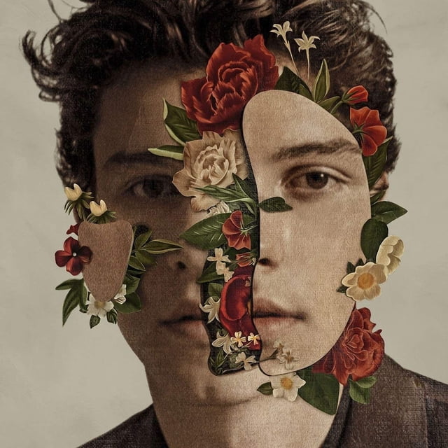 Shawn Mendes - Lp Vinyl Universal Vinyl