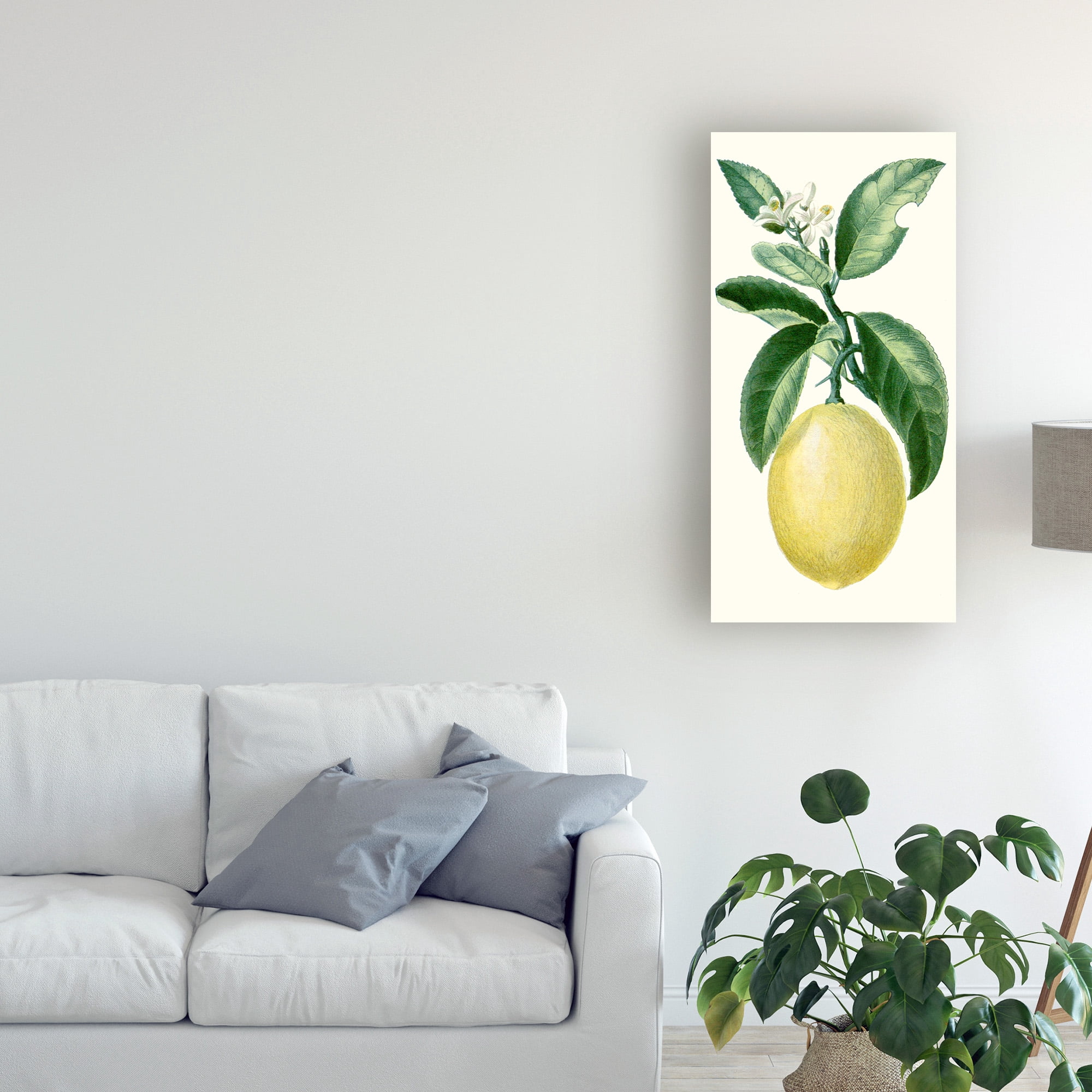 Trademark Fine Art 'Turpin Fruit I' Canvas Art by Turpin