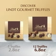 thumbnail image 6 of Lindt Gourmet Truffles Assorted Chocolate Candy, Gift Box, 6.8 oz, 6 of 14