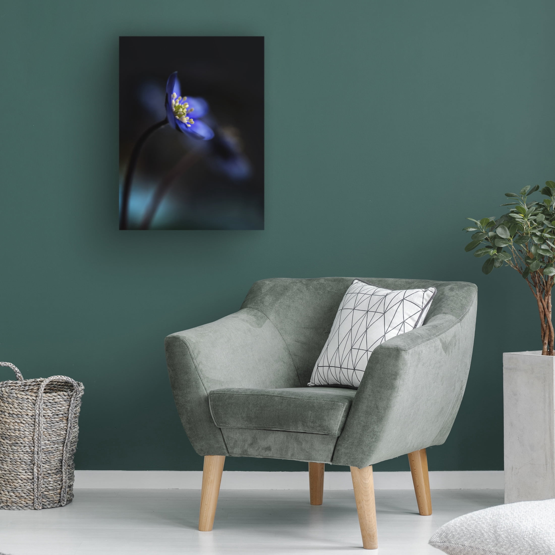 Canvas Wall Art - Heidi Westum 'Hepatica Nobilis Ll' Wall Art for Living Room, Bedroom, or Office D?cor by Trademark Fine Art - 24 x 32 Inches