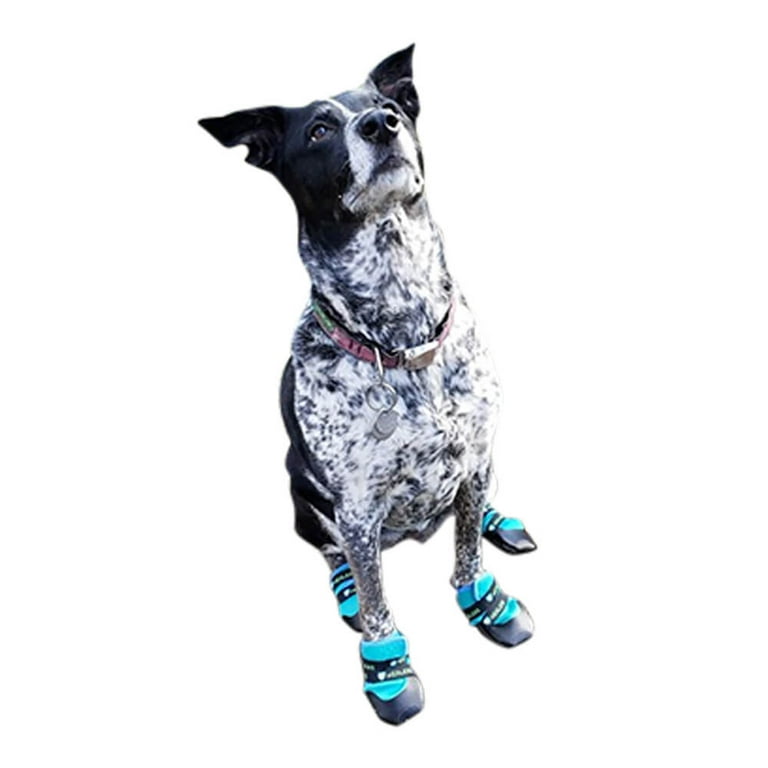 Healers urban walkers dog hotsell boots
